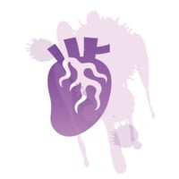 Cardiovascular disorders - Cannabiscientia